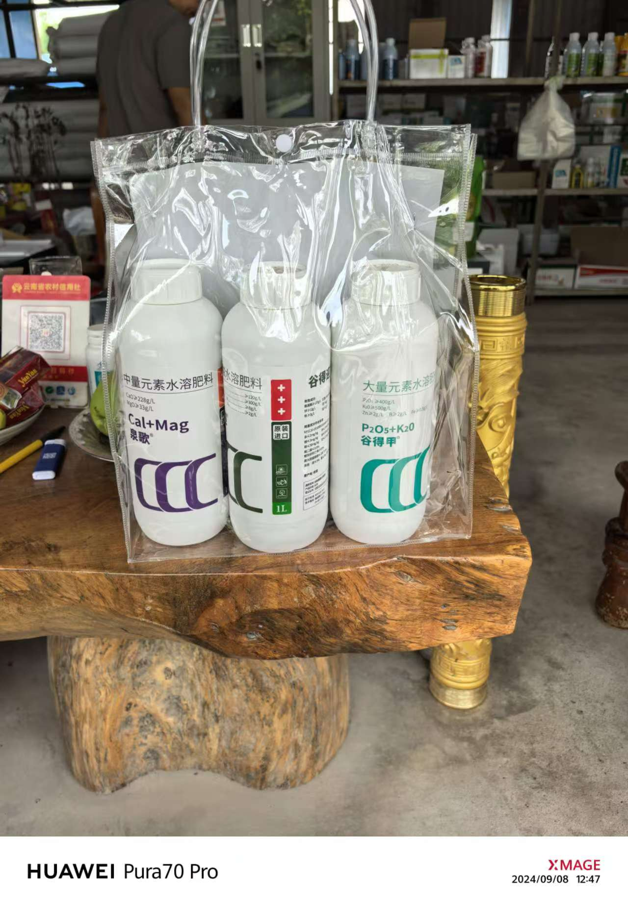 谷得迎+泉歌+谷得甲组合之效果