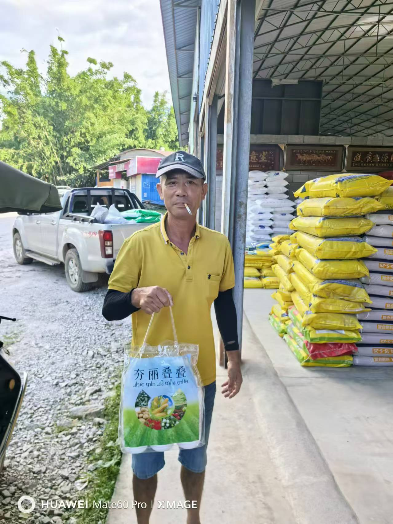 谷得迎+泉歌+谷得甲组合之效果