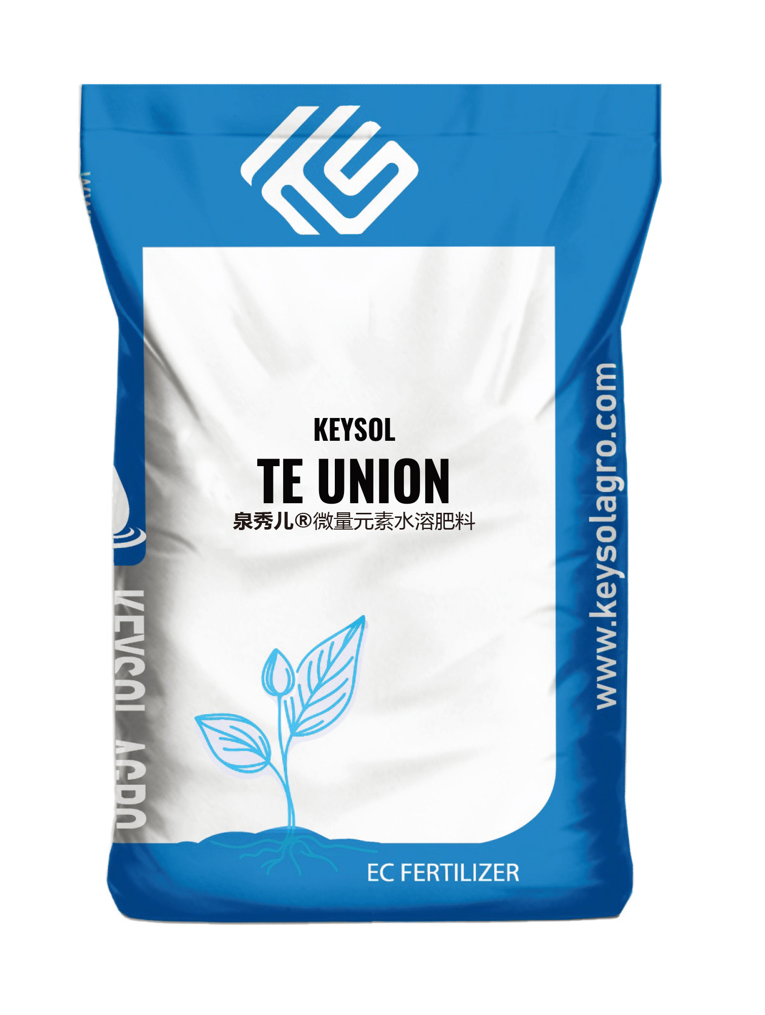 泉秀儿 TE union