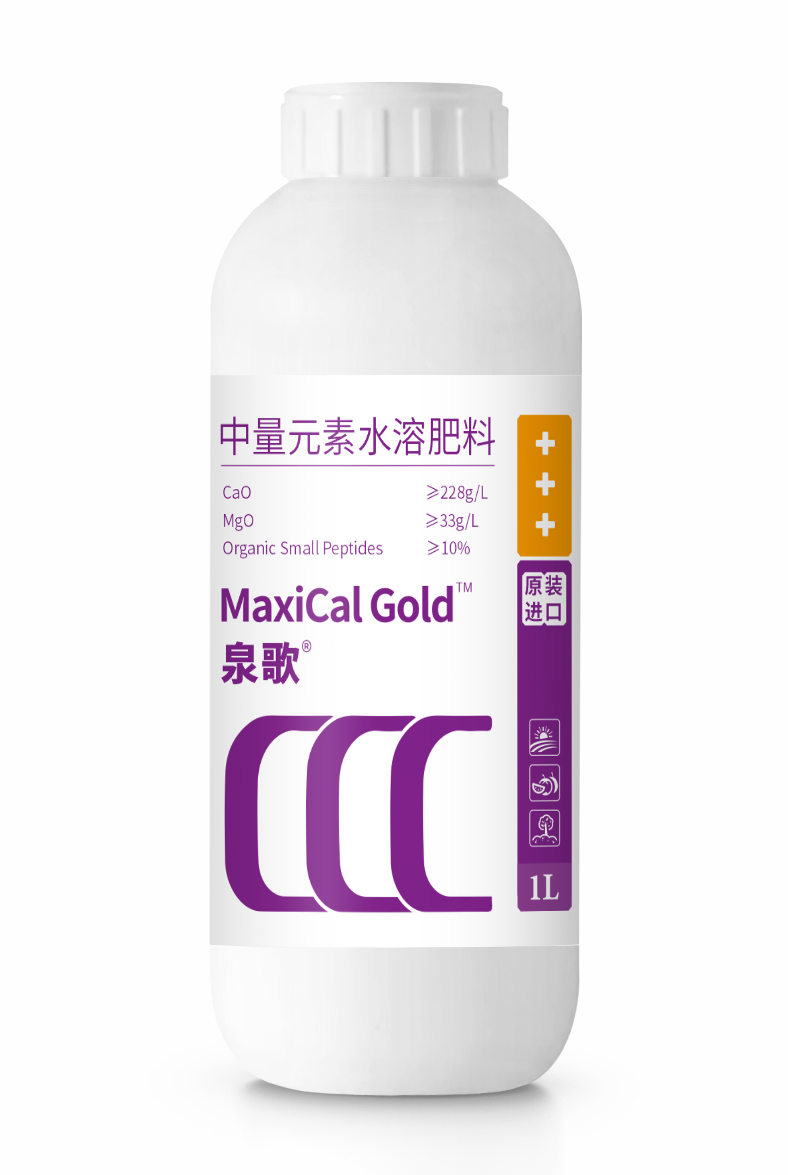 泉歌